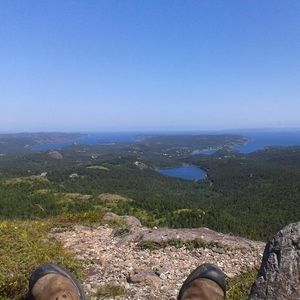 Meet your Posher, Craig